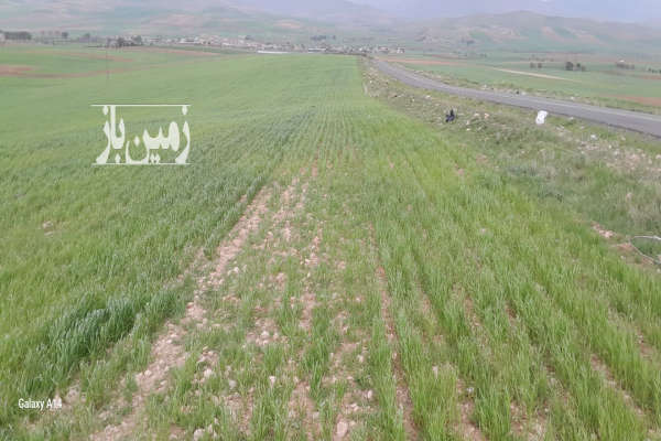 فروش زمین کشاورزی کرمانشاه ۳۵۰۰۰ متر سنقر-1