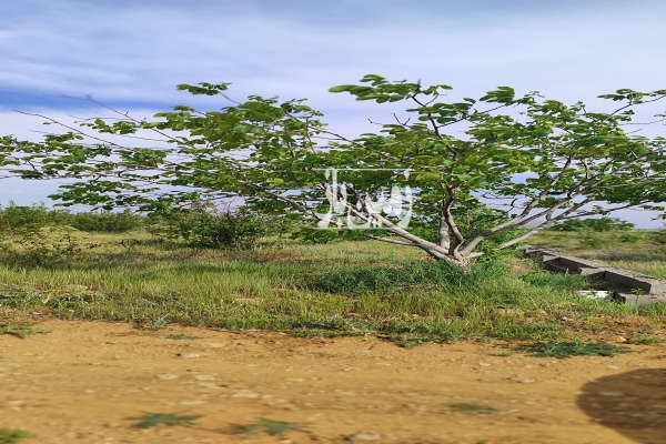 فروش زمین باغ کشاورزی فارس ۱۲۵۰ متر شیراز روستای آب پرده-2