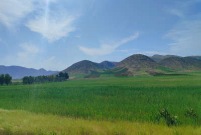 فروش زمین باغ کشاورزی فارس ۱۲۵۰ متر شیراز روستای آب پرده