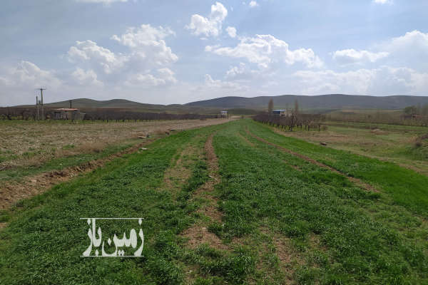 فروش زمین کشاورزی زنجان ۲۱۰۰ متر روستای بناب-1