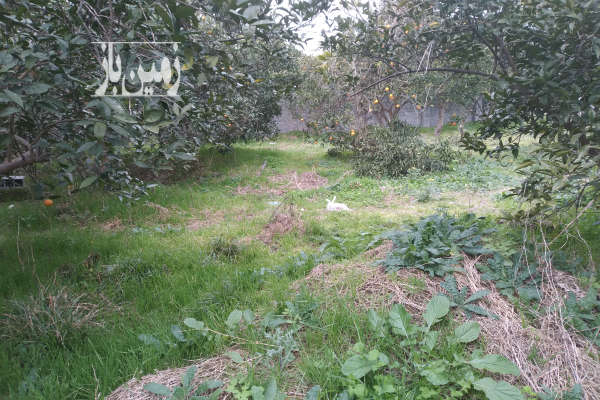 فروش زمین مسکونی صنعتی شمال ۲۱۵ متر بابل خیابان گنج افروز-2