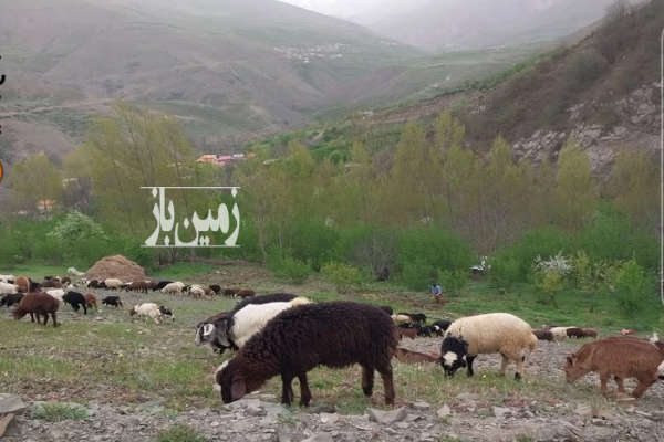 فروش زمین مسکونی هرمزگان ۳۴۰ متر میناب امتداد جاده دلفارد-4