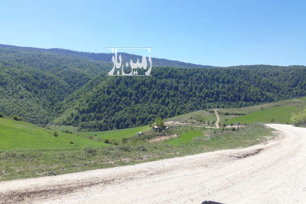 فروش زمین کشاورزی شمال ۴۶۰ متر نکا هزارجریب روستای سیکا-2