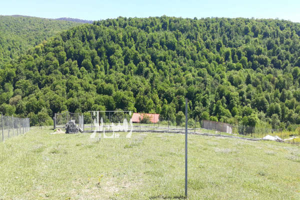 فروش زمین کشاورزی شمال ۴۶۰ متر نکا هزارجریب روستای سیکا-3