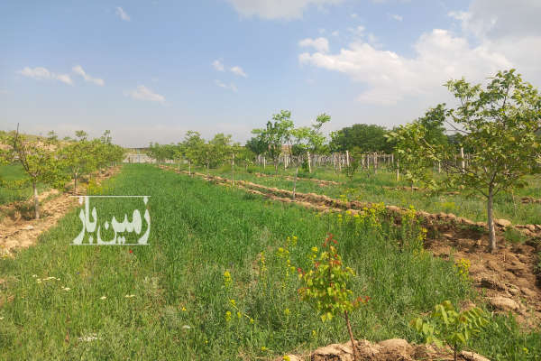 فروش زمین باغ آذربایجان غربی ۸۳۰۰ متر ارومیه-2