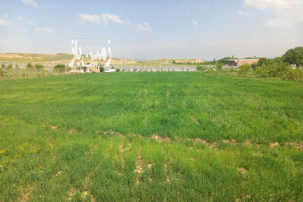 فروش زمین باغ آذربایجان غربی ۸۳۰۰ متر ارومیه-3