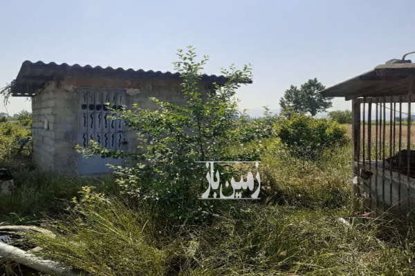 فروش زمین باغ کشاورزی شمال ۱۱۵۰۰ متر نکا جاده اطرب روستای ولاشد-4