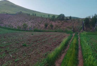 فروش زمین آذربایجان غربی ۱۱۲۰۰۰ متر پیرانشهر کانی برد