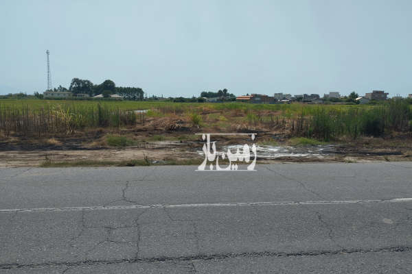 فروش زمین کشاورزی شمال ۱۳۰۰ متر دابودشت-3