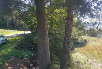 فروش زمین کشاورزی شمال ۷۵۰ متر ساری راهبند