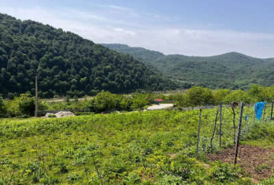 فروش زمین کشاورزی شمال ۳۰۰ متر زیرآب روستای مته کلاه