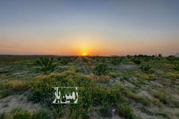 فروش زمین باغ البرز ۵۰۰۰ متر نظرآباد-1