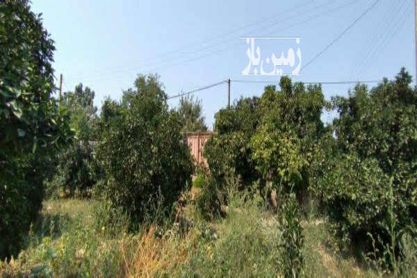 فروش زمین مسکونی باغ شمال ۲۵۴۰ متر جاده قدیم آمل به بابل روستای نقارچی محله-2