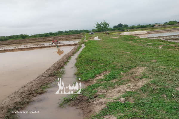 فروش زمین کشاورزی گیلان ۲۲۳۳ متر فومن روستای قصابعلیسرا-1