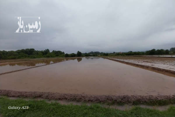فروش زمین کشاورزی گیلان ۲۲۳۳ متر فومن روستای قصابعلیسرا-2