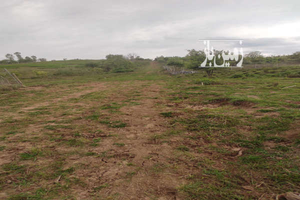 فروش زمین باغ گیلان ۲۲۰ متر لنگرود اطاقور روستای اربولنگه پابین-1