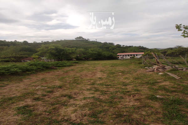 فروش زمین باغ گیلان ۲۲۰ متر لنگرود اطاقور روستای اربولنگه پابین-3