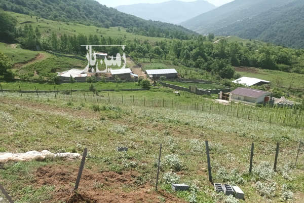 فروش زمین کشاورزی شمال ۳۵۰ متر پل سفید روستای درکارودبار-1