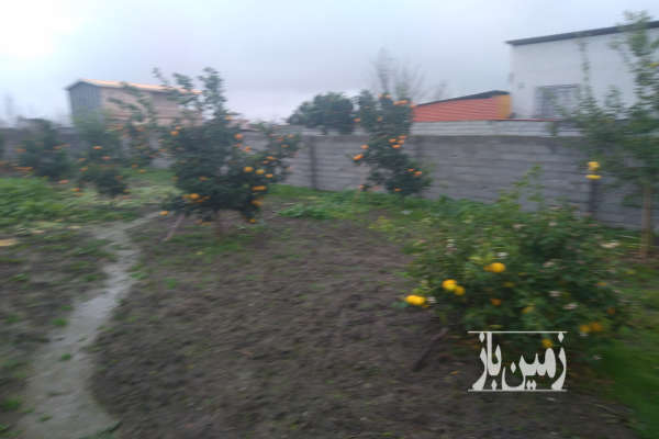 فروش زمین شمال ۳۳۰ متر دابودشت روستای عربخیل-1