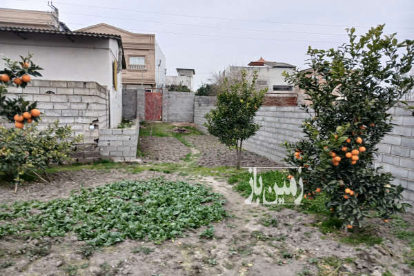 فروش زمین شمال ۳۳۰ متر دابودشت روستای عربخیل-3