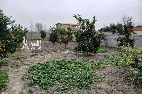 فروش زمین شمال ۳۳۰ متر دابودشت روستای عربخیل-4