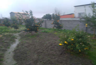 فروش زمین شمال ۳۳۰ متر دابودشت روستای عربخیل