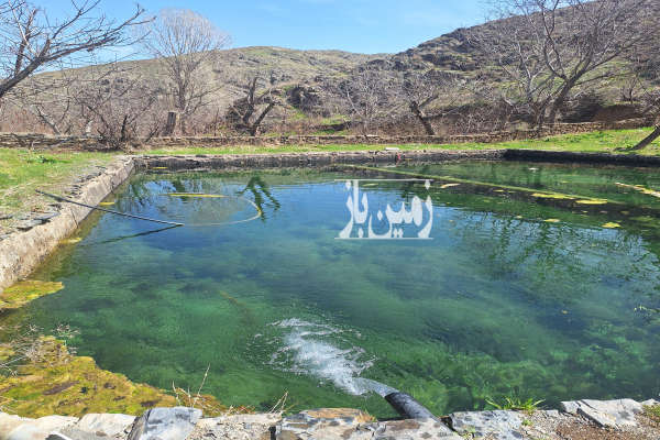 فروش زمین باغ کشاورزی خراسان رضوی ۱۰۰۰ متر مشهد روستای کاهو-3