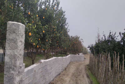فروش زمین باغ شمال ۱۰۶۰ متر بابل جاده حبیبی روستای سیدکلا کشتله