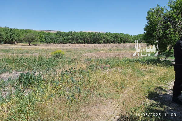 فروش زمین باغ مرکزی ۱۲۰۰ متر نوبران روستای میمه-1