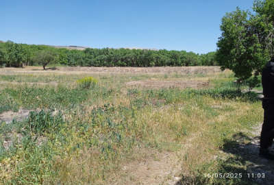 فروش زمین باغ مرکزی ۱۲۰۰ متر نوبران روستای میمه