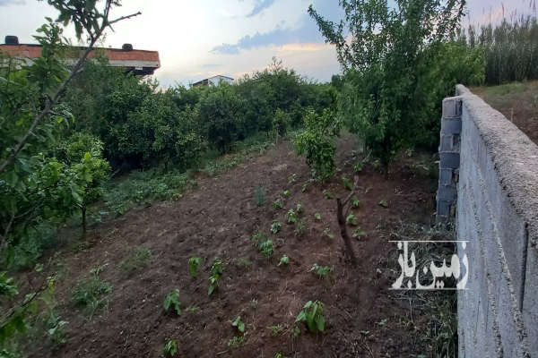 فروش زمین شمال ۷۵۰ متر ساری جاده دریا جاده بابلسر روستای گلنشین-3
