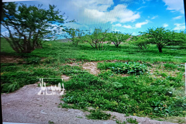 فروش زمین کشاورزی البرز ۴۲۰ متر جاده چالوس روستای ازادبر-3