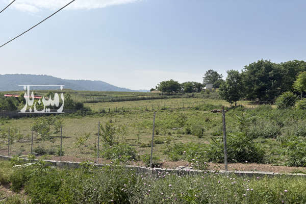 فروش زمین مسکونی شمال ۴۰۰ متر ساری چهار دانگه روستای ازنی-1
