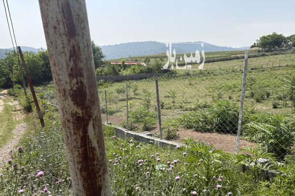 فروش زمین مسکونی شمال ۴۰۰ متر ساری چهار دانگه روستای ازنی-2