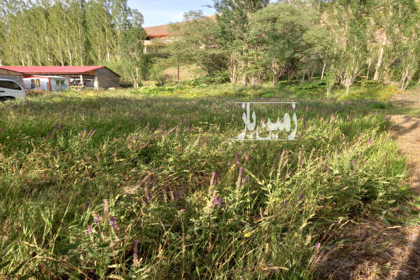 فروش زمین کشاورزی البرز ۵۵۰ متر جاده چالوس روستای ازادبر-1