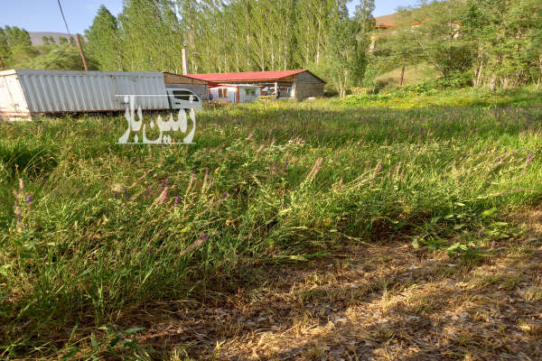 فروش زمین کشاورزی البرز ۵۵۰ متر جاده چالوس روستای ازادبر-3