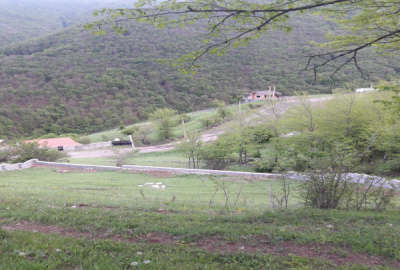 فروش زمین مسکونی شمال ۷۴۰ متر چالوس روستای ناتر