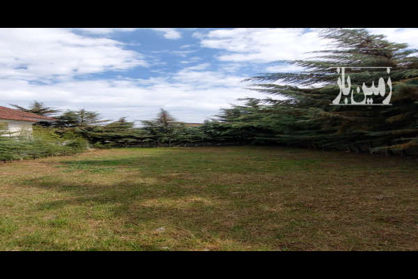 فروش زمین مسکونی شمال ۲۴۵ متر کلاردشت-1