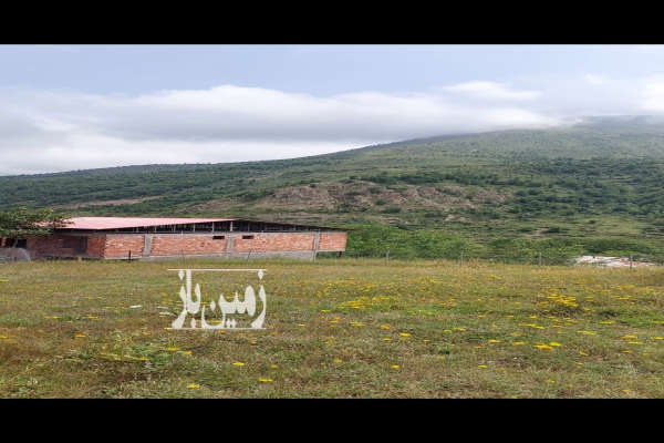 فروش زمین شمال ۱۶۹ متر مرزن‌ آباد روستای ییلاقی دلیر-2