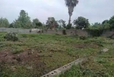فروش زمین مسکونی شمال ۱۰۲ متر ساری بلوار کشاورز