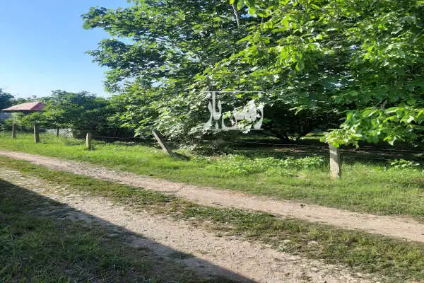 فروش زمین مسکونی شمال ۳۵۰ متر قائمشهر روستای چپی - تصویر 2