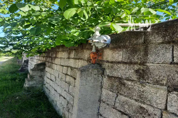 فروش زمین مسکونی شمال ۳۵۰ متر قائمشهر روستای چپی - تصویر 3