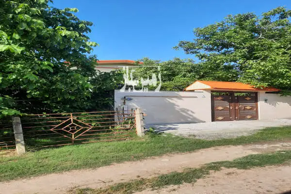فروش زمین مسکونی شمال ۳۵۰ متر قائمشهر روستای چپی - تصویر 4