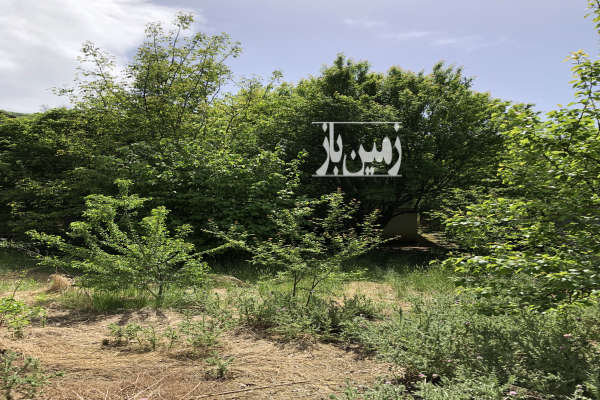 فروش زمین مسکونی شمال ۶۸۹ متر سوادکوه روستای سنگده-3