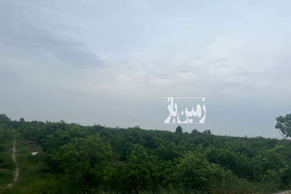 فروش زمین شمال ۵۰۰۰ متر ساری جاده جویبار پشت کشتارگاه-1