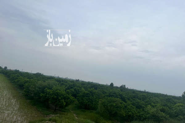 فروش زمین شمال ۵۰۰۰ متر ساری جاده جویبار پشت کشتارگاه-3