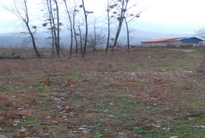 فروش زمین مسکونی گیلان ۵۰۰ متر احمدسرگوراب روستای والی سرا