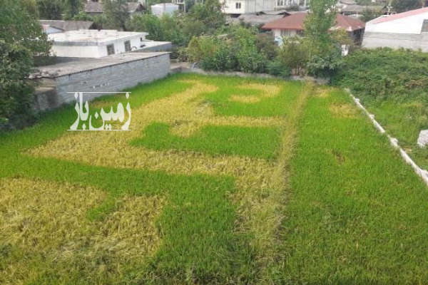 فروش زمین گیلان ۵۳۱ متر تالش میدان نماز-1