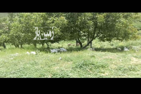 فروش زمین کشاورزی تبریز ۱۸۰۰ متر بالاتر از روستای لیقوان روستای اسپره خوان-2