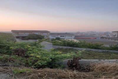 فروش زمین مسکونی شمال ۱۱۰ متر نکا بام شهر